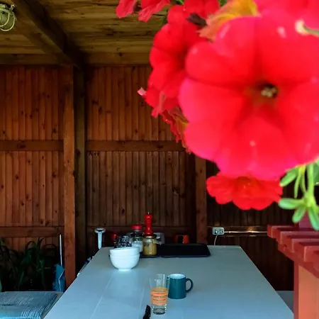 Vendégház Balta Maja *